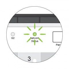 Network Status LED flashing 1:1 detail